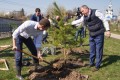 В рамках нацпроекта «Экология» в Калужской области стартовал Всероссийский день посадки леса 